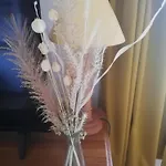 Chaleureux De Montagne * Ustou